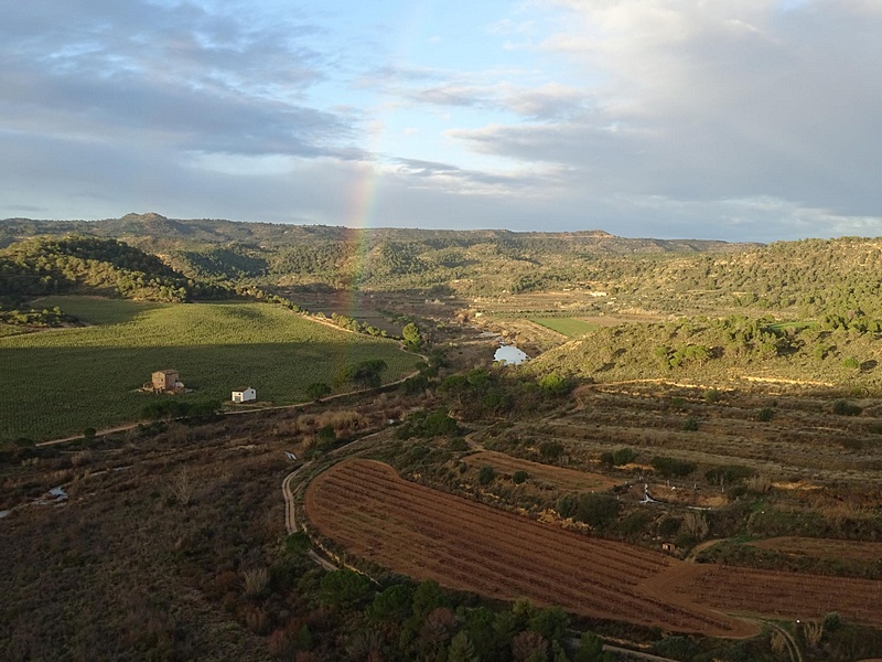 Castillo de Algars