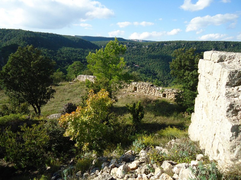 Castillo de l'Albiol