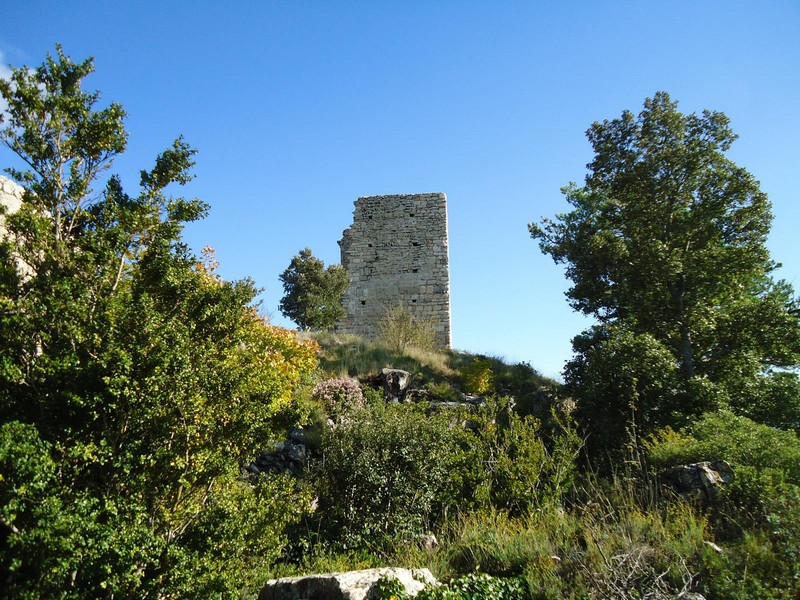 Castillo de l'Albiol