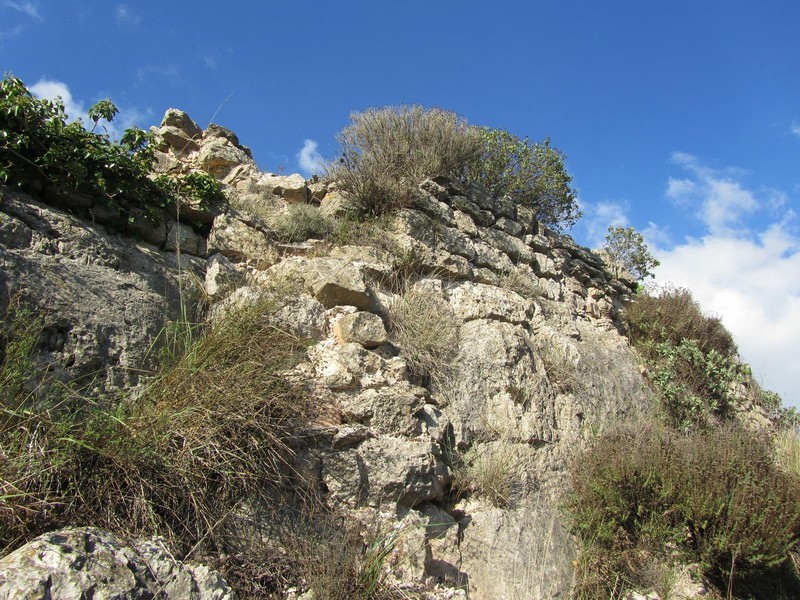 Castillo de l'Albiol