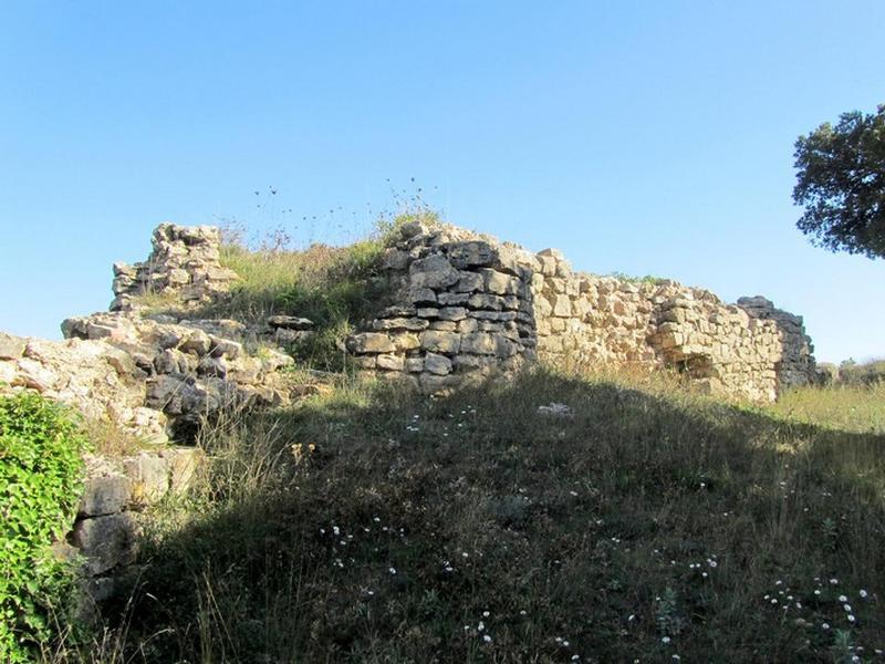 Castillo de l'Albiol