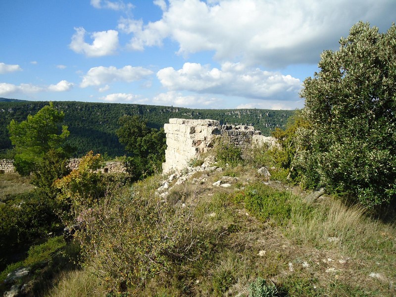 Castillo de l'Albiol