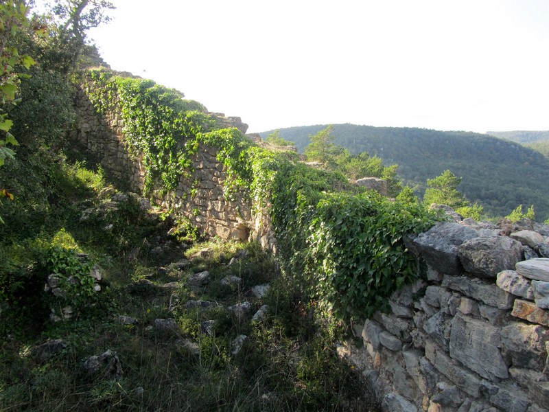 Castillo de l'Albiol