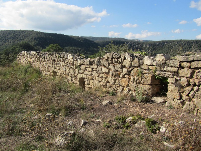 Castillo de l'Albiol