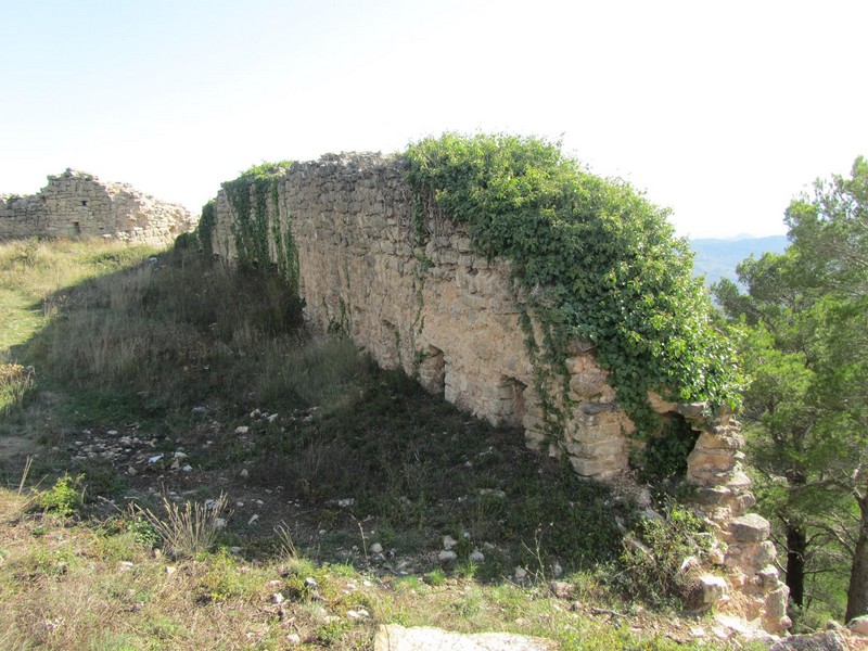 Castillo de l'Albiol