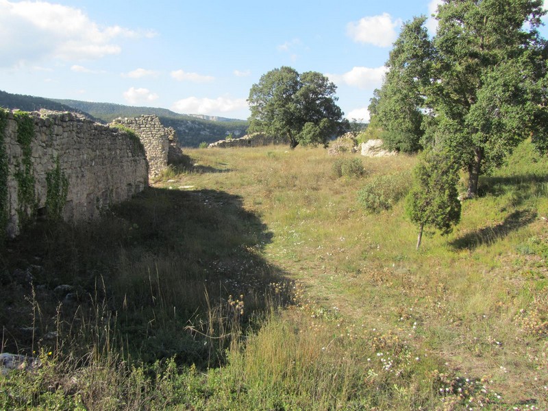 Castillo de l'Albiol