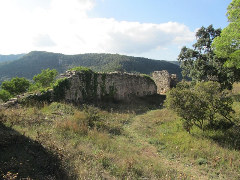 Castillo de l'Albiol