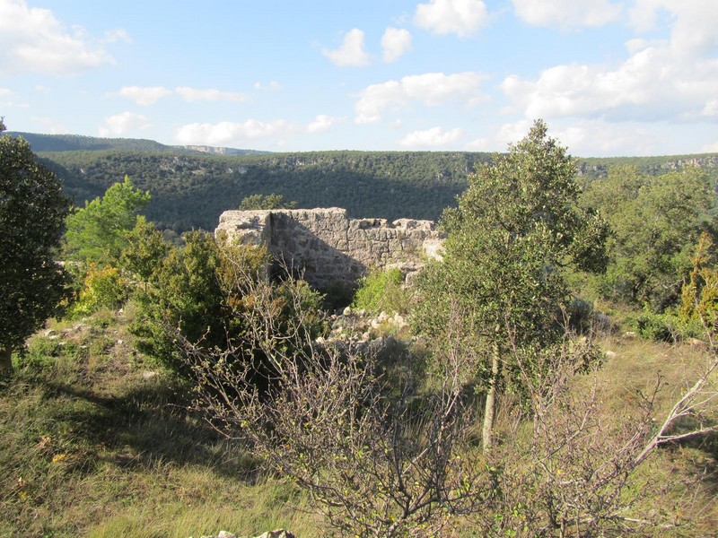 Castillo de l'Albiol