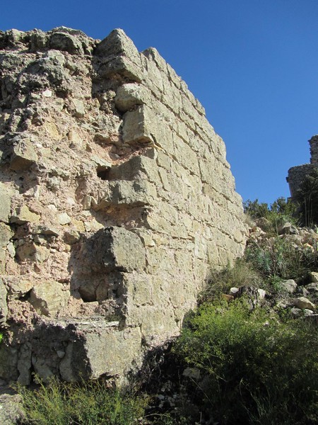 Castillo de l'Albiol