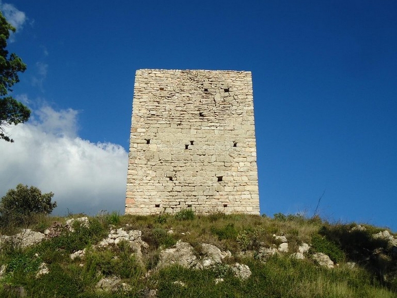 Castillo de l'Albiol