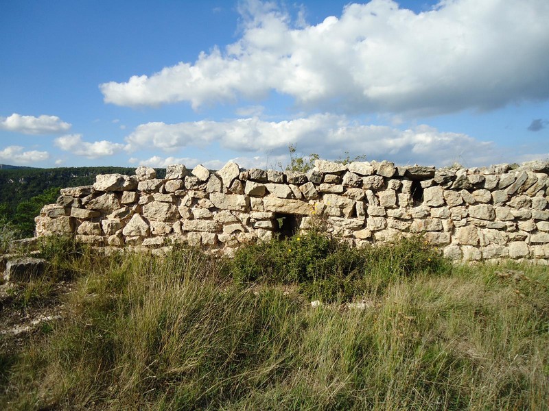 Castillo de l'Albiol