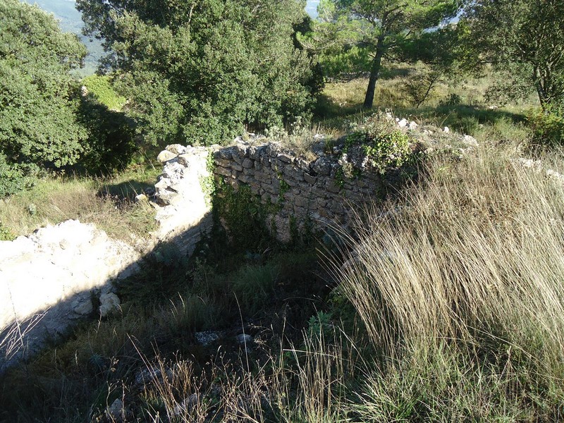 Castillo de l'Albiol