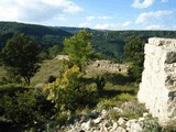 Castillo de l'Albiol