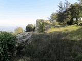 Castillo de l'Albiol