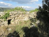 Castillo de l'Albiol