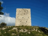 Castillo de l'Albiol