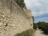 Castillo de Mas de la Muga