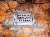 Pajase de Santa Teresa