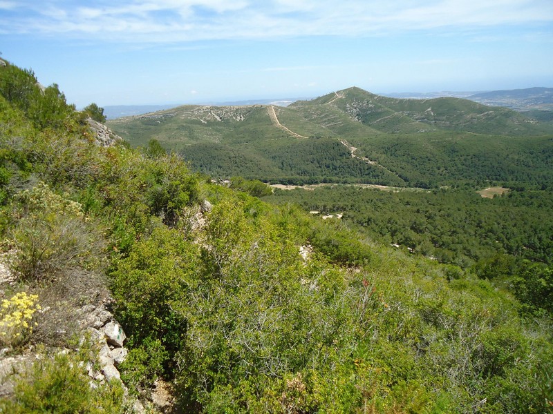 Castillo del Montmell