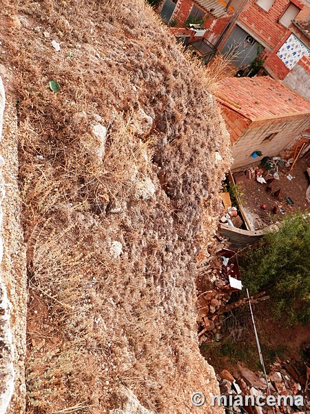 Castillo de Monreal del Campo