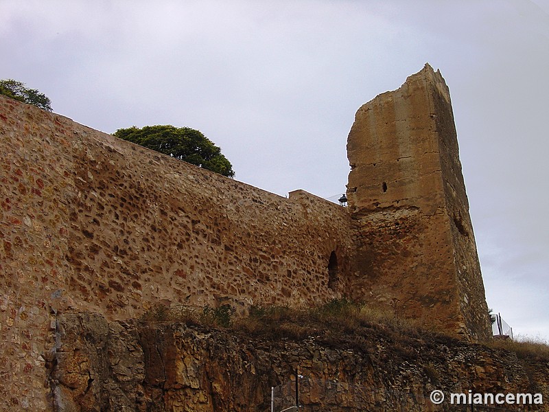 Castillo de Ojos Negros