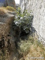 Castillo de Peñas Negras