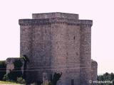 Castillo de Puñoenrostro