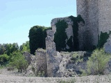 Castillo de Puñoenrostro