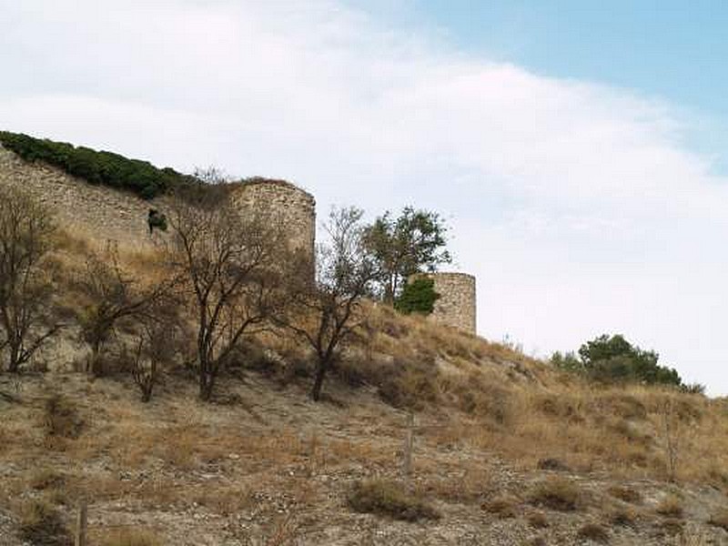 Castillo de Puñoenrostro