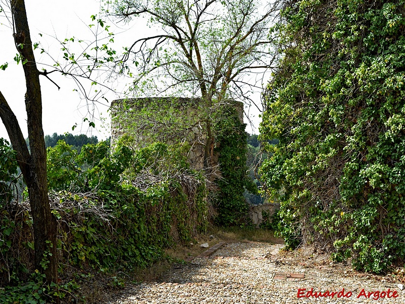 Castillo de Puñoenrostro