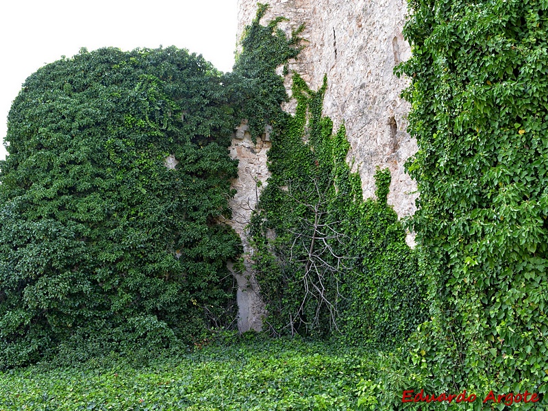 Castillo de Puñoenrostro