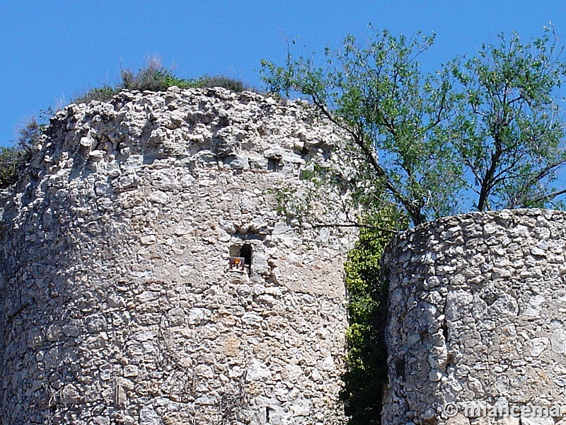 Castillo de Puñoenrostro