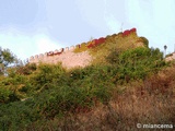 Muralla urbana de Escalona