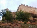 Muralla urbana de Escalona