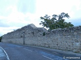 Muralla urbana de Escalona