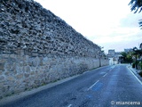 Muralla urbana de Escalona