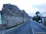 Muralla urbana de Escalona