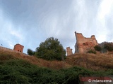 Muralla urbana de Escalona