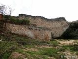 Muralla urbana de Escalona