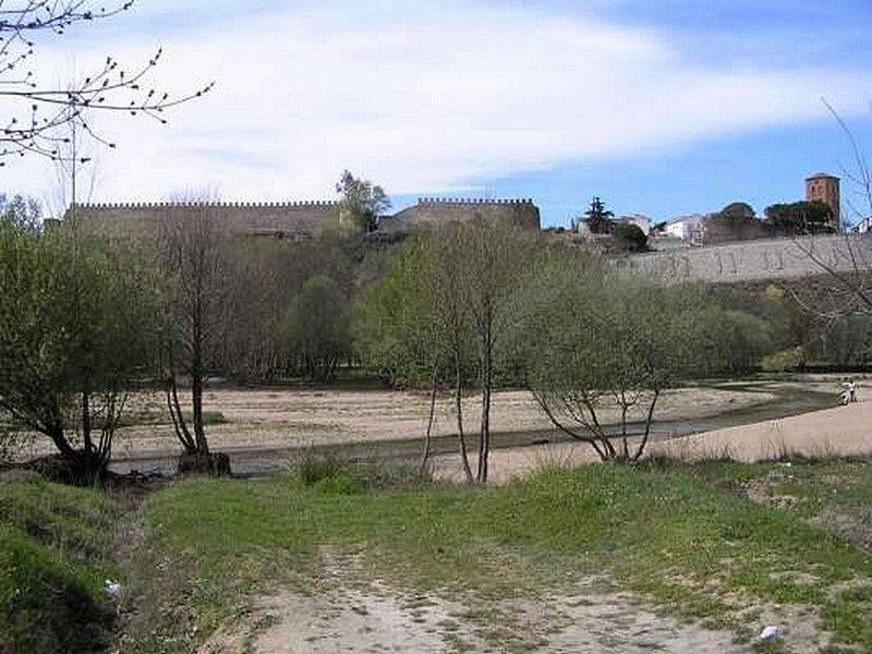 Muralla urbana de Escalona