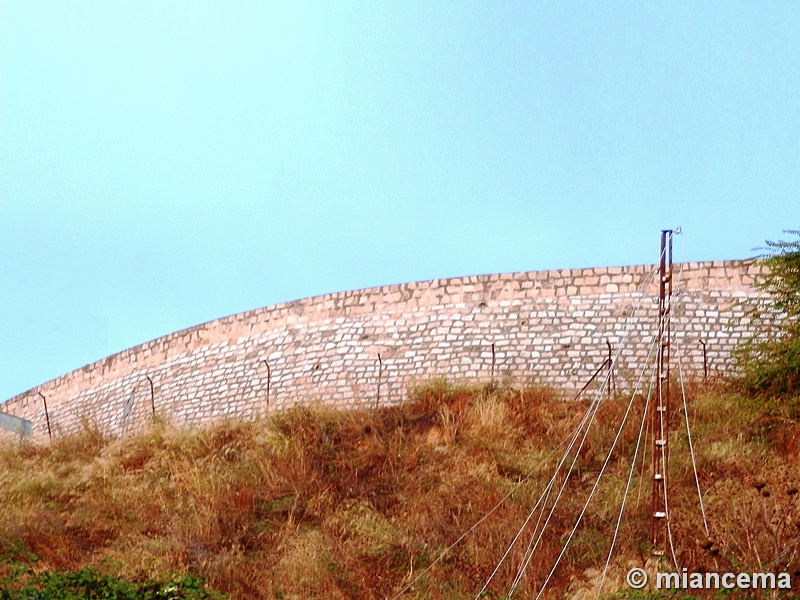 Muralla urbana de Escalona