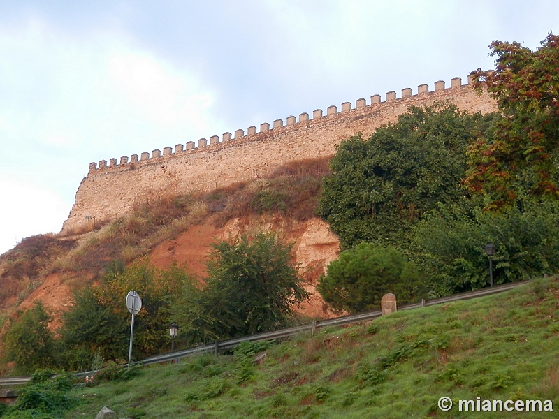 Muralla urbana de Escalona