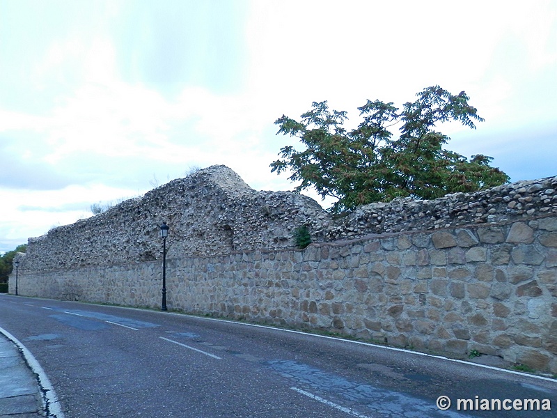 Muralla urbana de Escalona