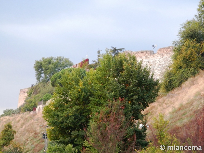 Muralla urbana de Escalona