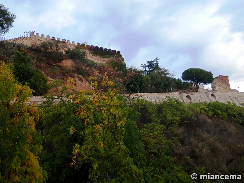 Muralla urbana de Escalona