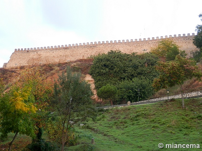 Muralla urbana de Escalona