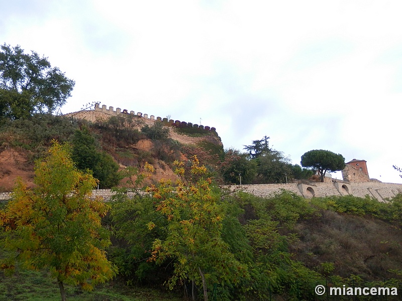 Muralla urbana de Escalona