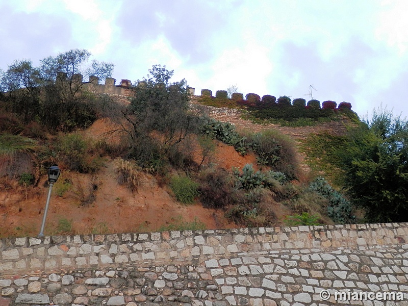 Muralla urbana de Escalona