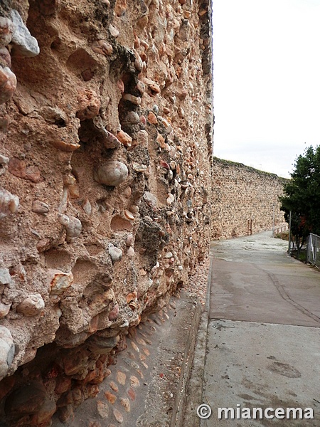 Muralla urbana de Escalona