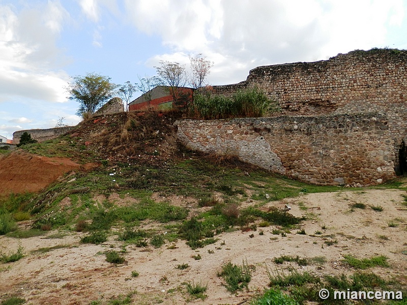 Muralla urbana de Escalona